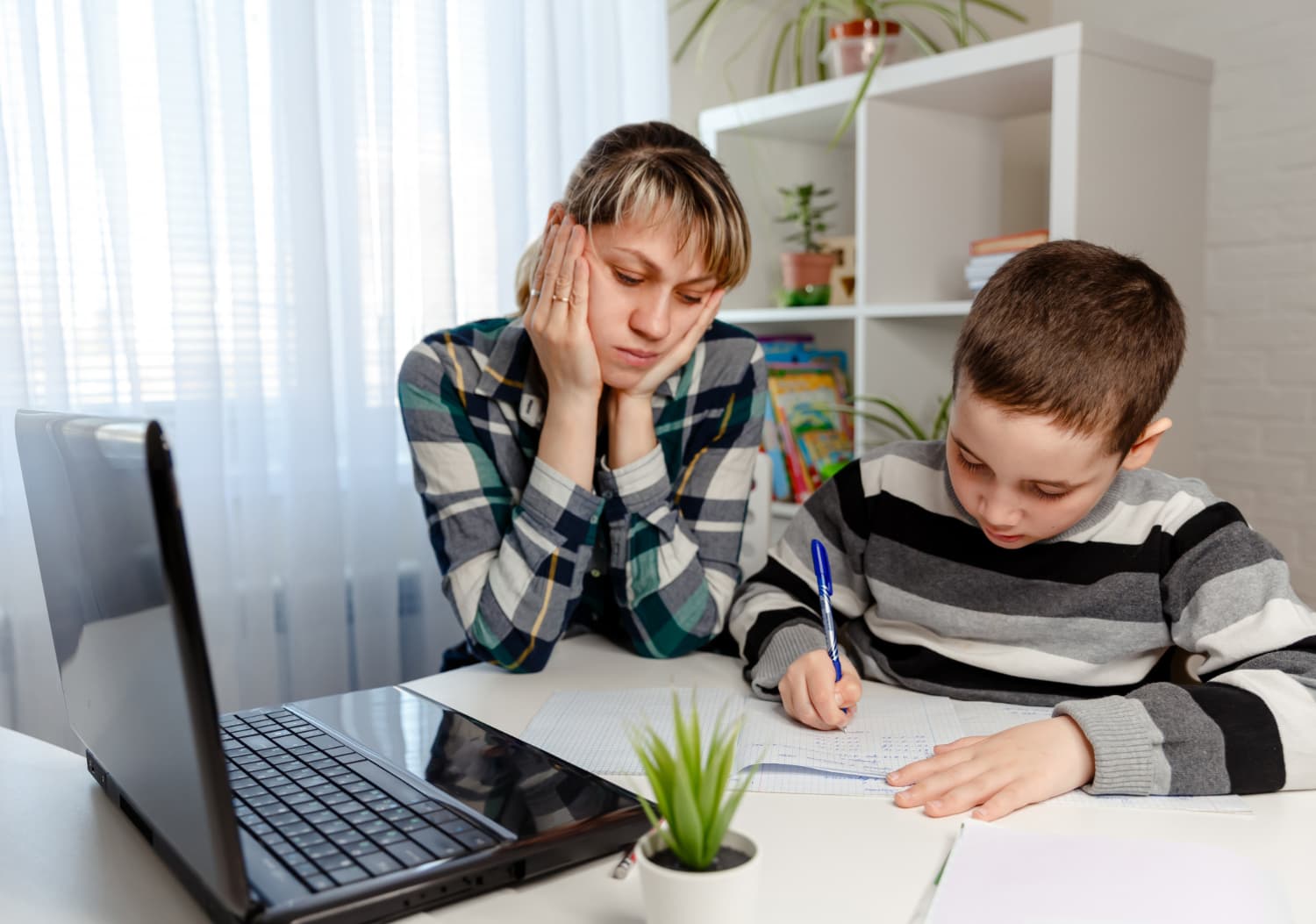 Homeschooling Pros and Cons